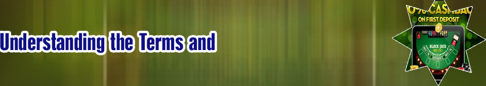 All cashback casino